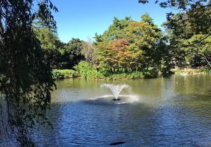 妙正寺公園