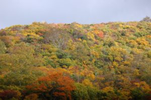 LINE_ALBUM_20251004栗駒山_251009_8