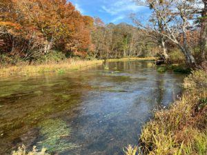 LINE_ALBUM_青森_251030_35