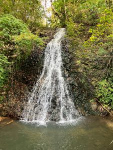 LINE_ALBUM_青森_251030_1