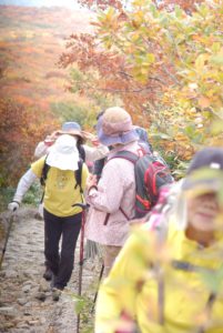 LINE_ALBUM_20251004栗駒山_251009_1