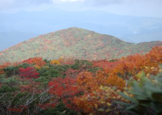 LINE_ALBUM_20251004栗駒山_251009_5