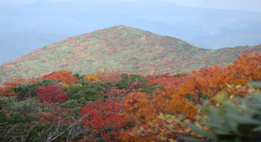 LINE_ALBUM_20251004栗駒山_251009_5
