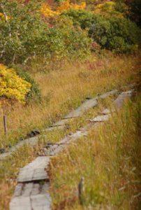 LINE_ALBUM_20251004栗駒山_251009_9
