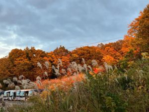 LINE_ALBUM_青森_251030_15