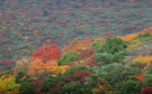 LINE_ALBUM_20251004栗駒山_251009_2
