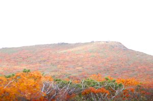 LINE_ALBUM_20251004栗駒山_251009_3
